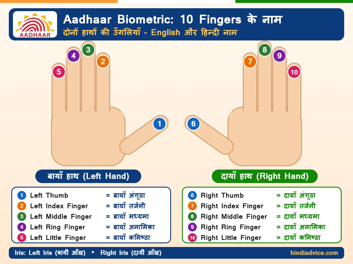 Aadhaar Biometric में दोनों हाथों की 10 उँगलियों के नाम: Left Thumb से Right Little Finger तक, English और हिन्दी में